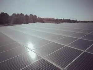 Doart A-Grade 550 Watts Solar Panel Price 2024
