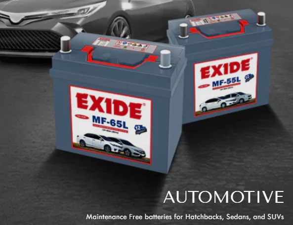 Exide Maintenance-Free Battery